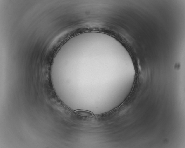 X0000112851016200909041524