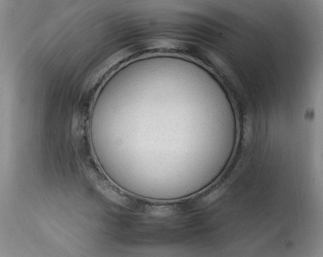 X0000112851017200909041524