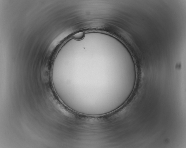 X0000112851018200909041524