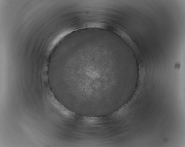 X0000112851019200909041524