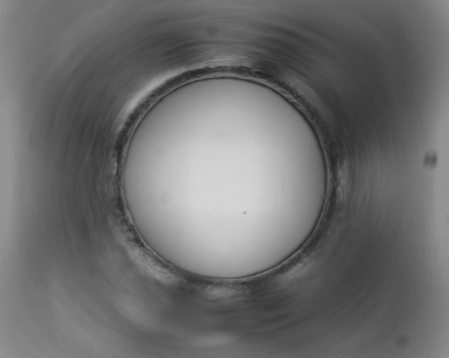 X0000112851021200909041524