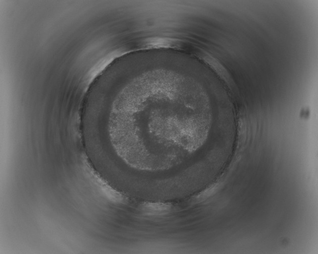 X0000112851023200909041524