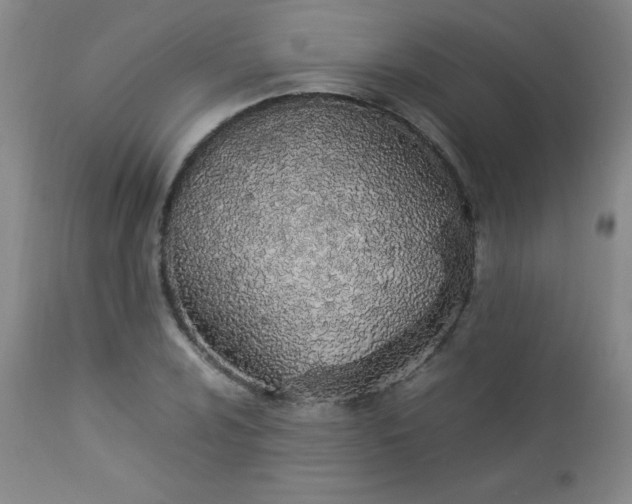 X0000112851024200909041524