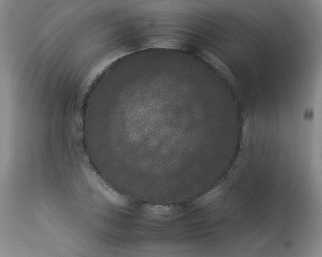 X0000112851027200909041524