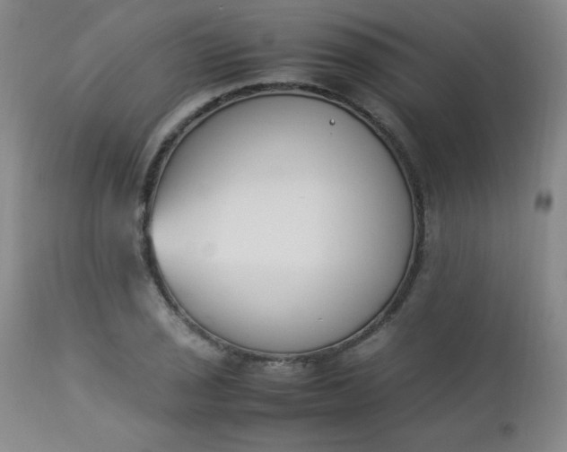 X0000112851029200909041524