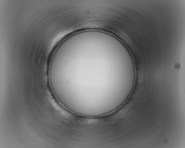 X0000112851030200909041524