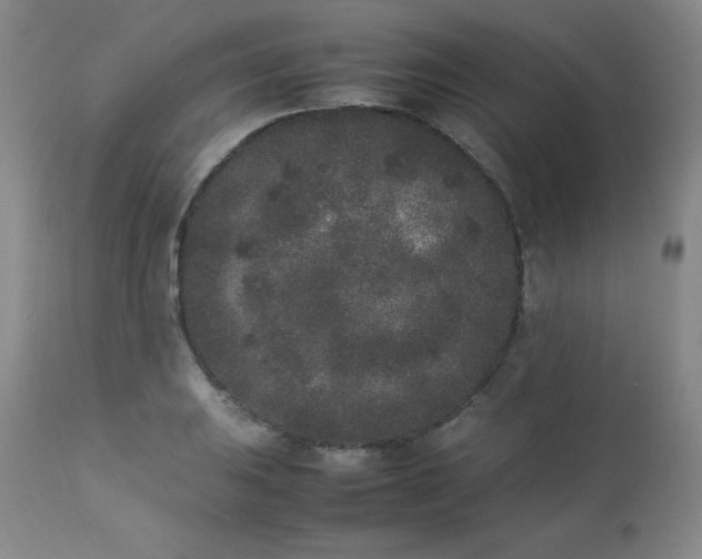 X0000112851031200909041524