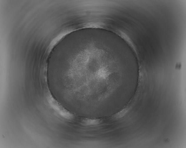 X0000112851035200909041525