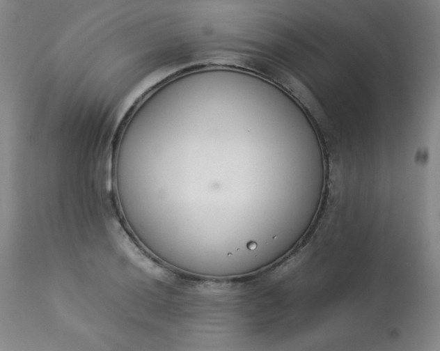 X0000112851036200909041525