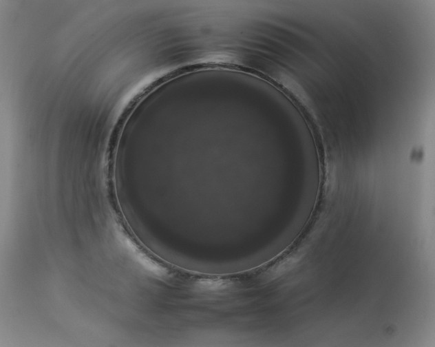 X0000112851037200909041525