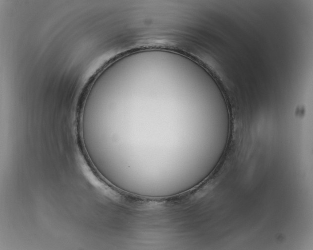 X0000112851038200909041525