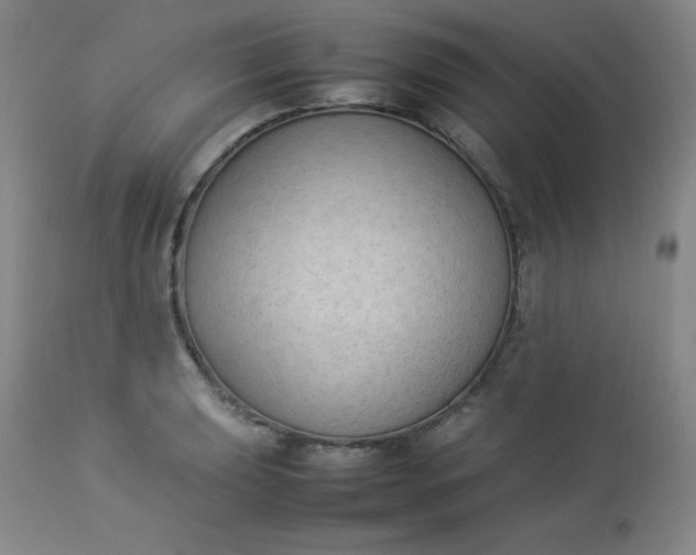 X0000112851039200909041525