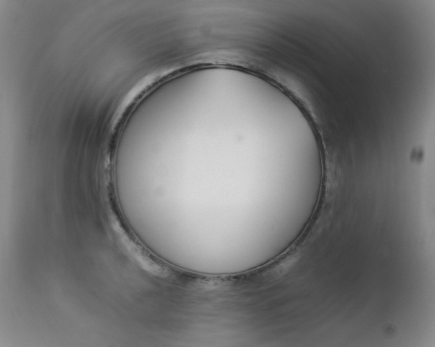 X0000112851040200909041525