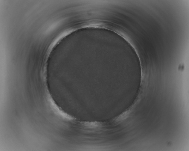 X0000112851045200909041525