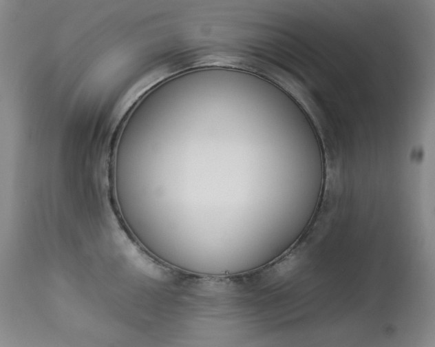 X0000112851050200909041525