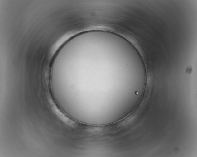 X0000112851054200909041525