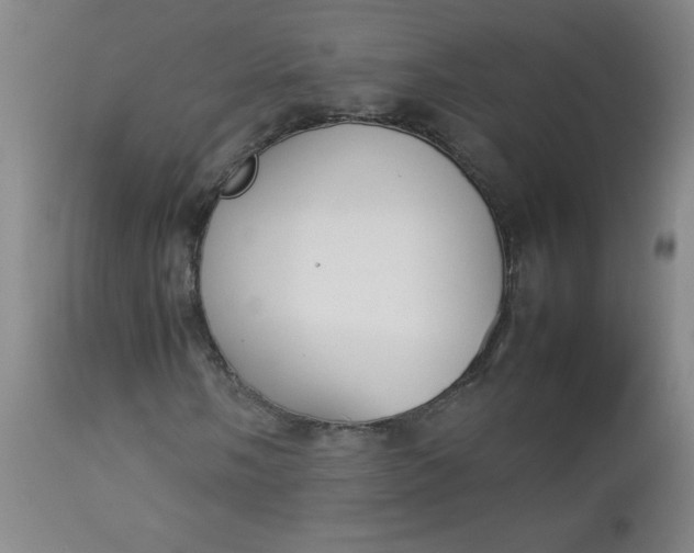 X0000112851058200909041524