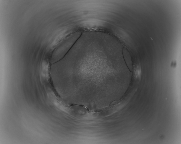 X0000112851060200909041524