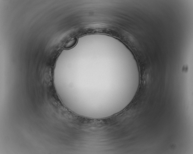 X0000112851062200909041524