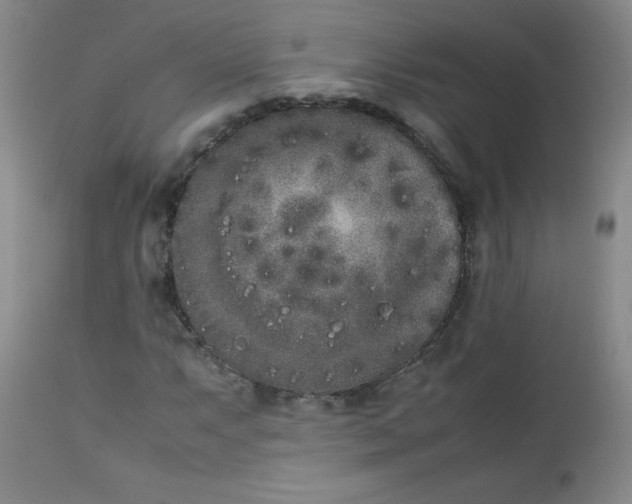 X0000112851063200909041524