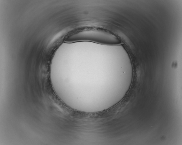 X0000112851064200909041524