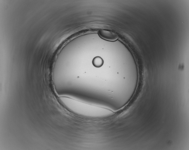 X0000112851065200909041524