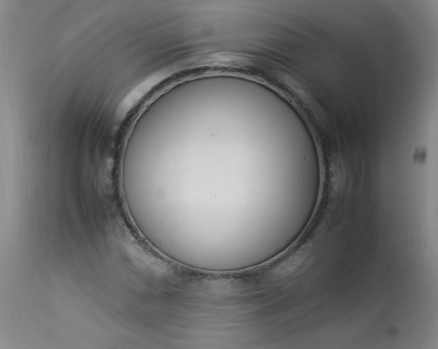 X0000112851066200909041524