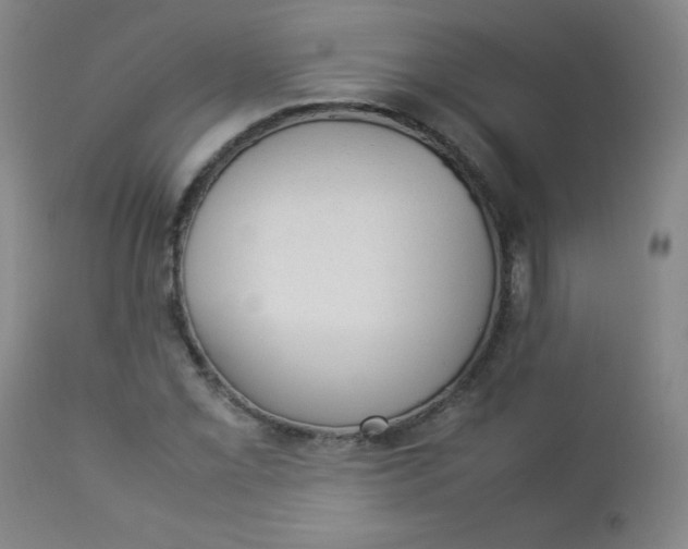 X0000112851069200909041524