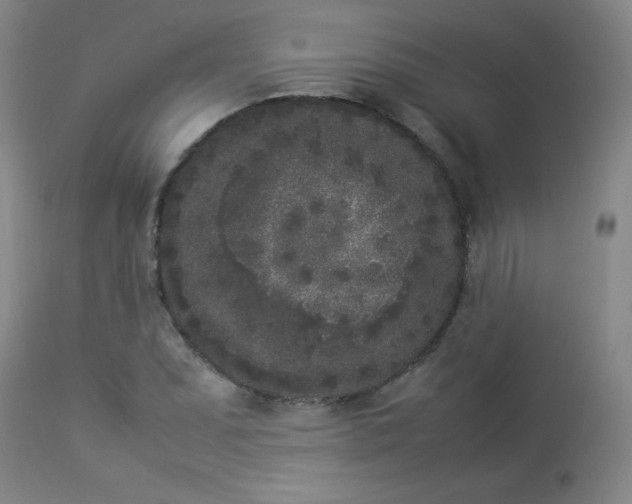 X0000112851071200909041524