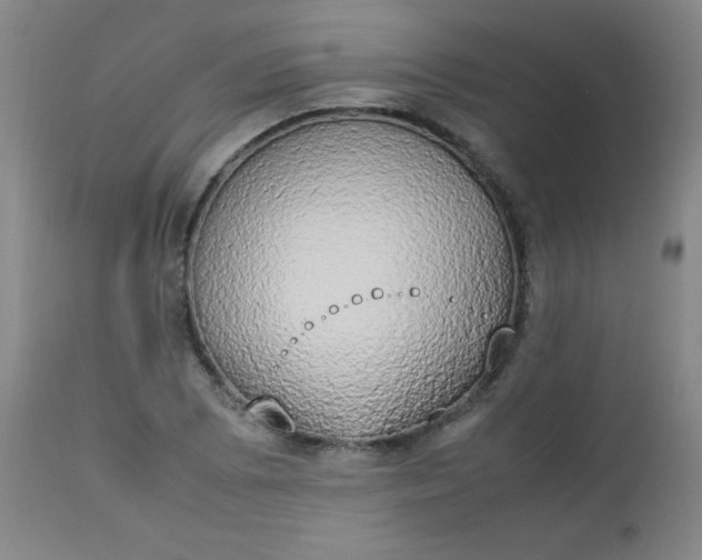 X0000112851073200909041524