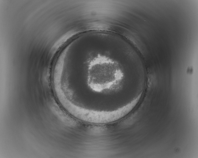 X0000112851074200909041524