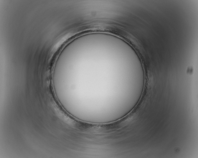 X0000112851075200909041524