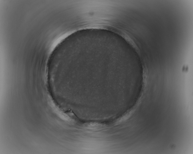 X0000112851077200909041524