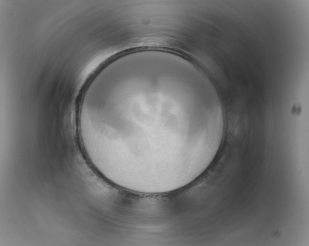 X0000112851078200909041524