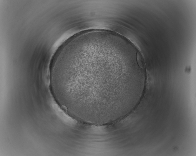 X0000112851080200909041524