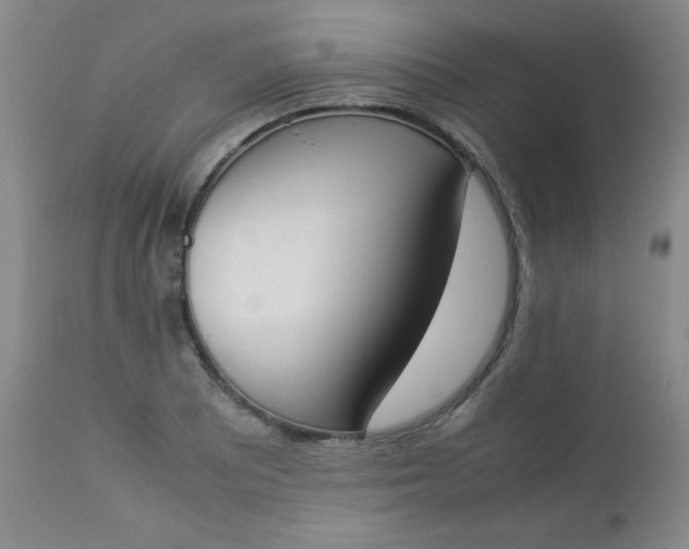 X0000112851081200909041524