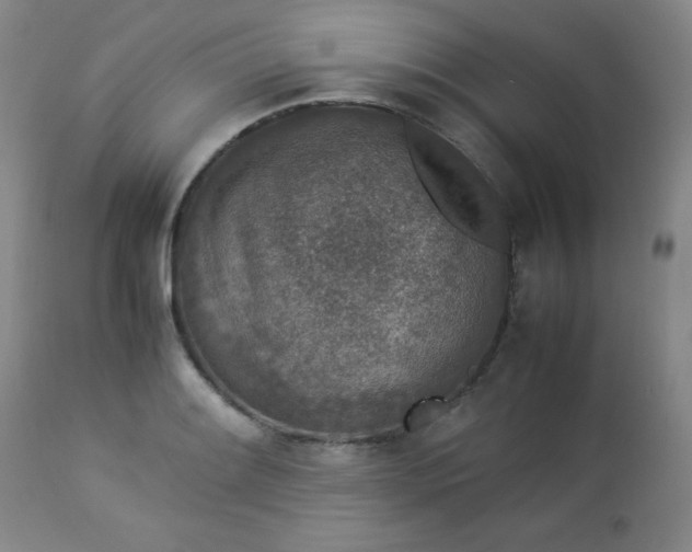 X0000112851084200909041524