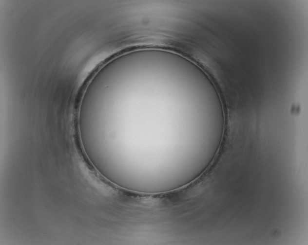 X0000112851085200909041524