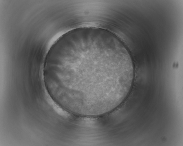 X0000112851086200909041524