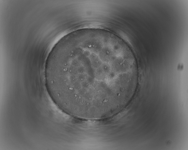 X0000112851087200909041524