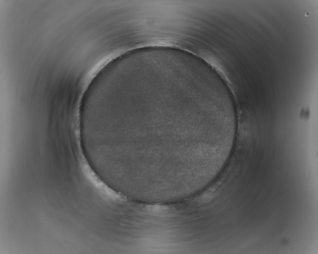 X0000112851088200909041524