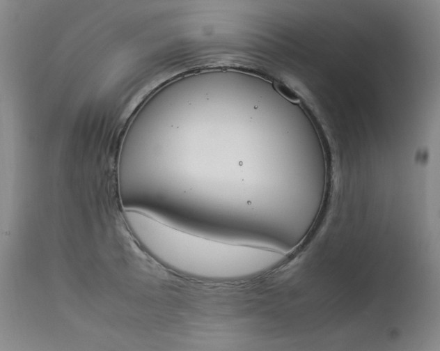 X0000112851089200909041524