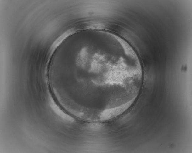 X0000112851090200909041524