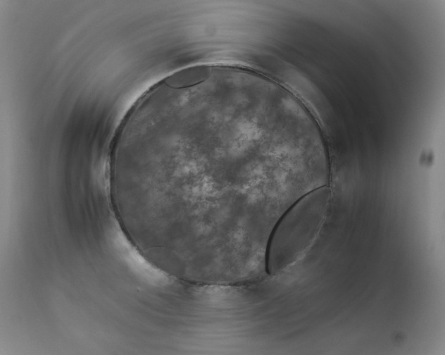 X0000112851092200909041524