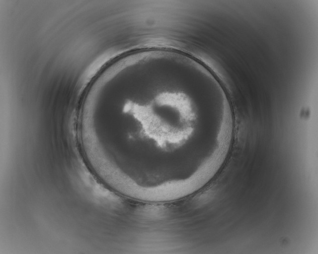 X0000112851094200909041524