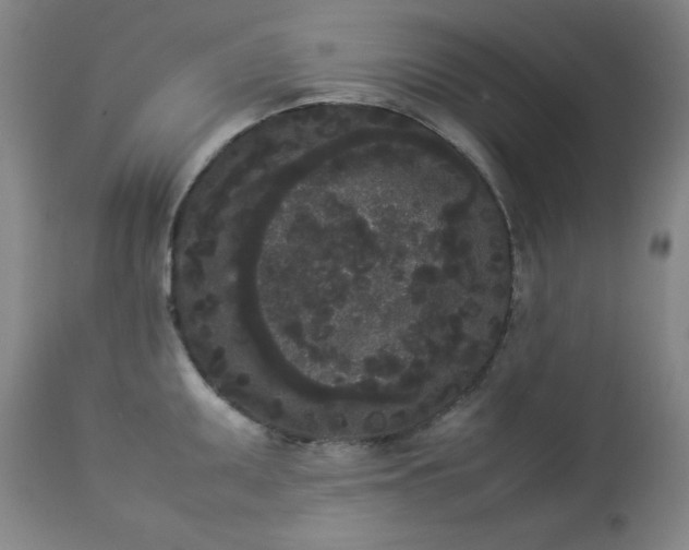 X0000112851095200909041524