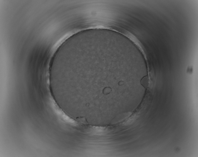 X0000112851096200909041524