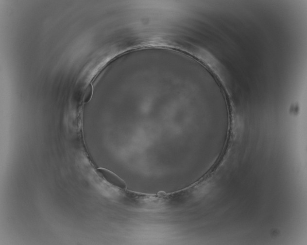 X0000112851097200909041524