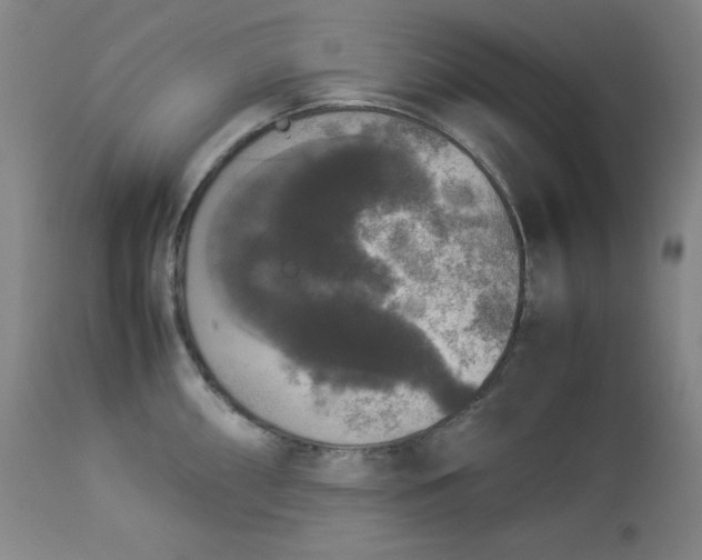 X0000112851098200909041524