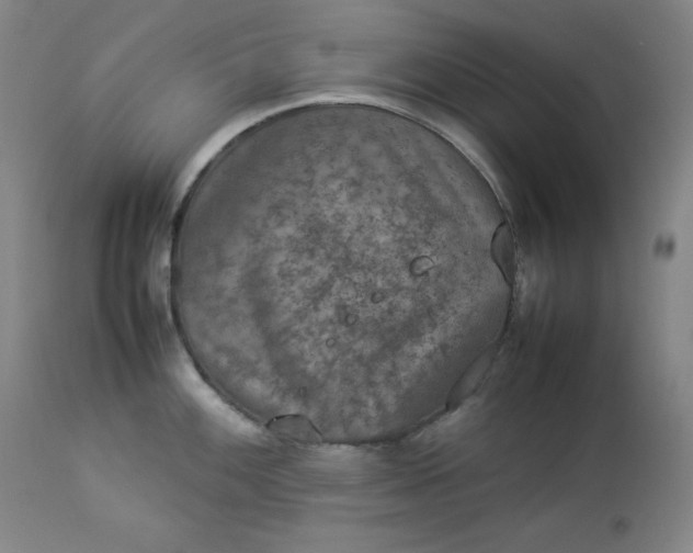 X0000112851100200909041524